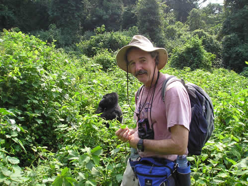 Gorilla Habituation Experience in Bwindi Uganda