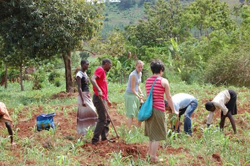 Jinja tours