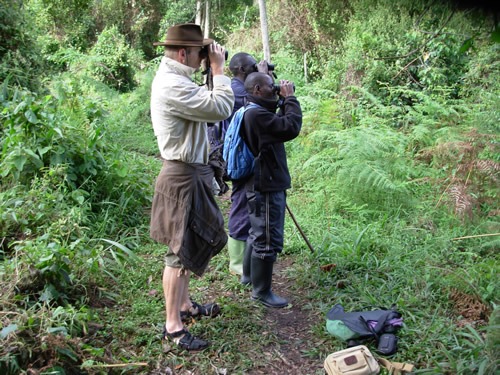 Uganda Birding Tours – Birding Spots in Uganda