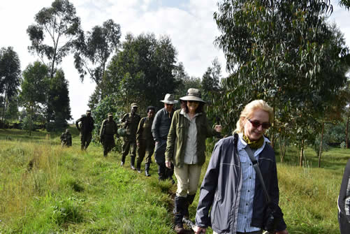 Gorilla Trekking in Volcanoes National Park