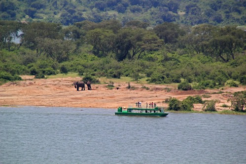 Kazinga Channel Boat Cruise – Cost and Price