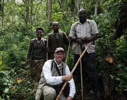 How Hard and Difficult is Gorilla Trekking in Rwanda or Uganda?